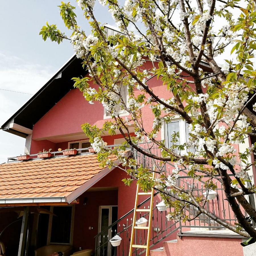 Apartments Predah kod Baraća Nis Bagian luar foto